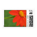 Macro Flower Stamp