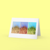 Macro Grass Trio cards by paulnsheryl Macro Grass Trio cards