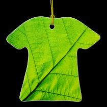 Macro Green leaf Ornaments ornaments
