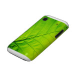 Macro Green Leaf Samsung Galaxy cases