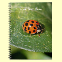 Macro Ladybug Nature Notebook notebooks