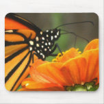 MACRO MONARCH mousepad