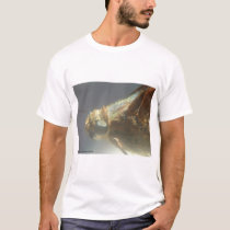 Macro Moth t-shirts by loubear Macro Moth t-shirts