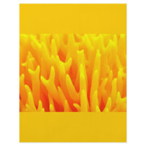 Macro of mushroom flyer design