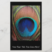 Macro Peacock Feather Rich Blues Photographic Flyers