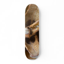 Macro Photo Of A Pine Cone skateboards by lifesphere Macro Photo Of A Pine Cone skateboards
