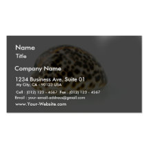 Macro Photo Of A Seashell 4 Business Card Templates