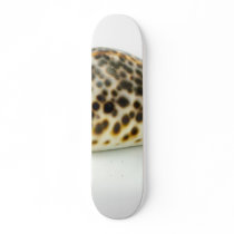 Macro Photo Of A Seashell 4 skateboards