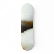 Macro Photo Of A Seashell skateboards by lifesphere Macro Photo Of A Seashell skateboards