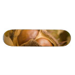 Macro Photo Of Brown Conker Skate Deck