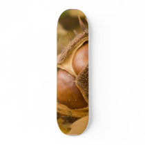 Macro Photo Of Brown Conker skateboards by lifesphere Macro Photo Of Brown Conker skateboards