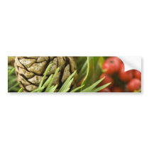 Macro Photo Of Cone On Advent Wreath bumper stickers by lifesphere Macro Photo Of Cone On Advent Wreath bumper stickers
