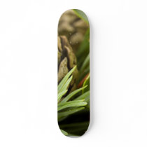 Macro Photo Of Cone On Advent Wreath skateboards by lifesphere Macro Photo Of Cone On Advent Wreath skateboards
