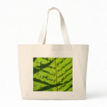 Macro Photo Of Fern 3 Bag
