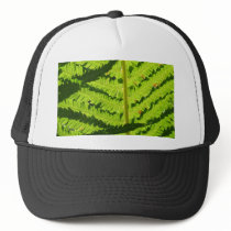 Macro Photo Of Fern 3 hats