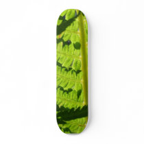 Macro Photo Of Fern 3 skateboards