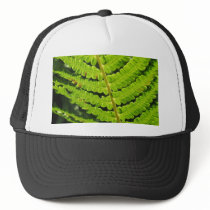 Macro Photo Of Fern 4 hats
