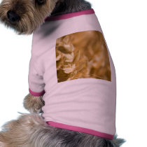 Macro Photo Of Yellow Grain pet clothing by lifesphere Macro Photo Of Yellow Grain pet clothing