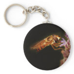 Macro photography entomolgist keychains
