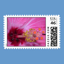Macro photography POSTAGE STAMP