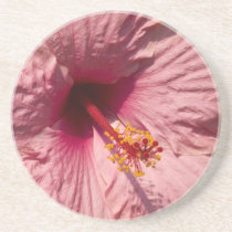 Macro Pink Hibiscus Flower Beverage Coaster