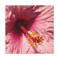 Macro Pink Hibiscus Flower Canvas Print