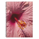 Macro Pink Hibiscus Flower notebooks