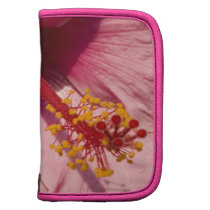 Macro Pink Hibiscus Flower Organizer