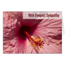 Macro Pink Hibiscus Flower Sympathy Cards