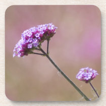 Macro Purple and Pink Flowers Beverage Coaster