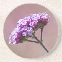 Macro Purple and Pink Flowers Coaster