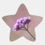 Macro Purple and Pink Flowers Star Sticker