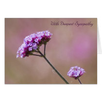 Macro Purple and Pink Flowers Sympathy Card