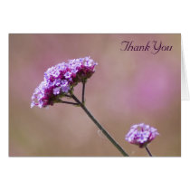 Macro Purple and Pink Flowers Thank You Cards
