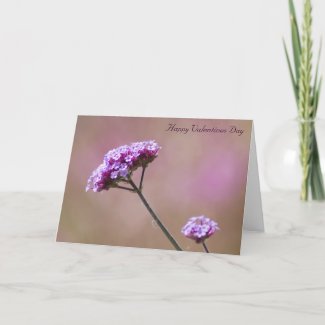 Macro Purple and Pink Flowers Valentines Greeting Card