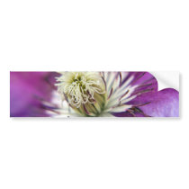 Macro Purple Clematis Flower Bumper Stickers