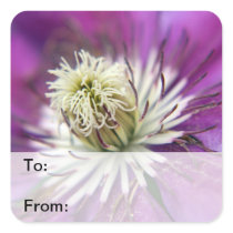 Macro Purple Clematis Flower Gift Tags Stickers