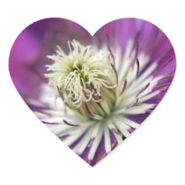 Macro Purple Clematis Flower Heart Sticker