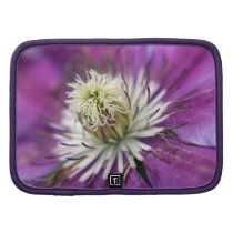 Macro Purple Clematis Flower Organizer