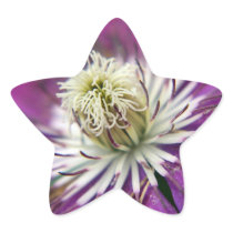 Macro Purple Clematis Flower Star Stickers