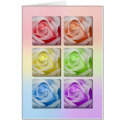 Macro Rainbow Roses card