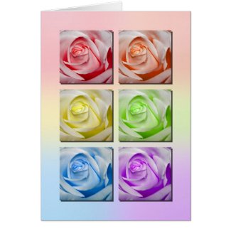 Macro Rainbow Roses card
