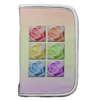 Macro Rainbow Roses rickshawfolio