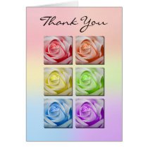 Macro Rainbow Roses Thank You Card