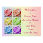 Macro Rainbow Roses Wedding Save The Date Postcard