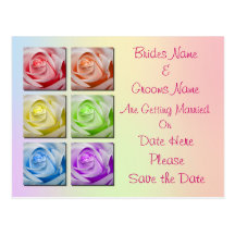 Macro Rainbow Roses Wedding Save The Date Postcard