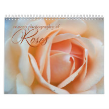 Macro roses floral photography 2013 calender wall calendar