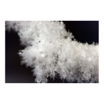 Macro Snowflake Poster posters