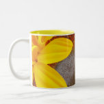 Macro Sunflower Coffee Mug