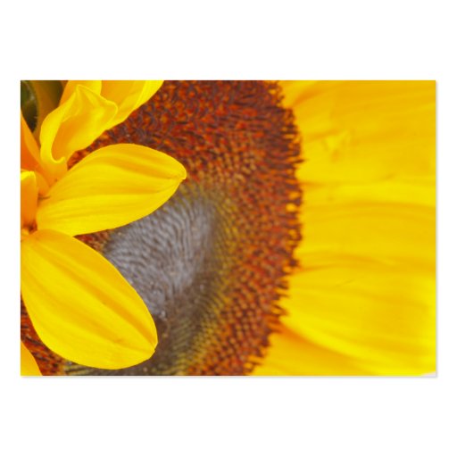 Macro Sunflower Profile Card Business Card (front side)